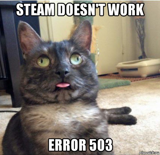 steam doesn't work error 503, Мем   Кот завис