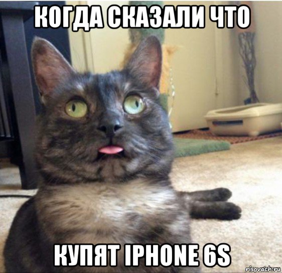 когда сказали что купят iphone 6s, Мем   Кот завис