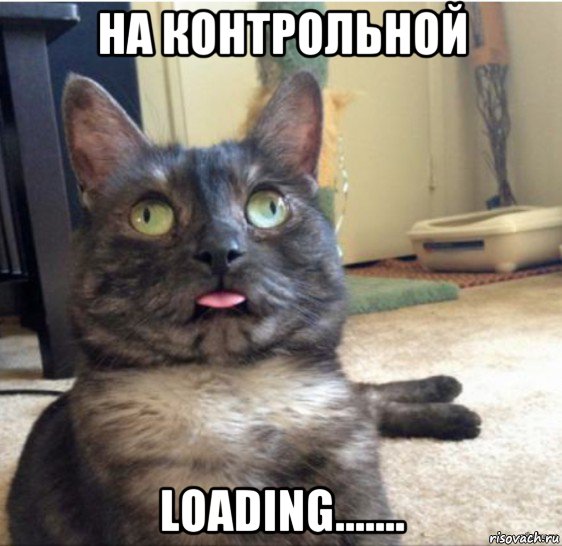 на контрольной loading......., Мем   Кот завис