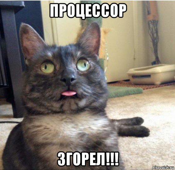 процессор згорел!!!, Мем   Кот завис