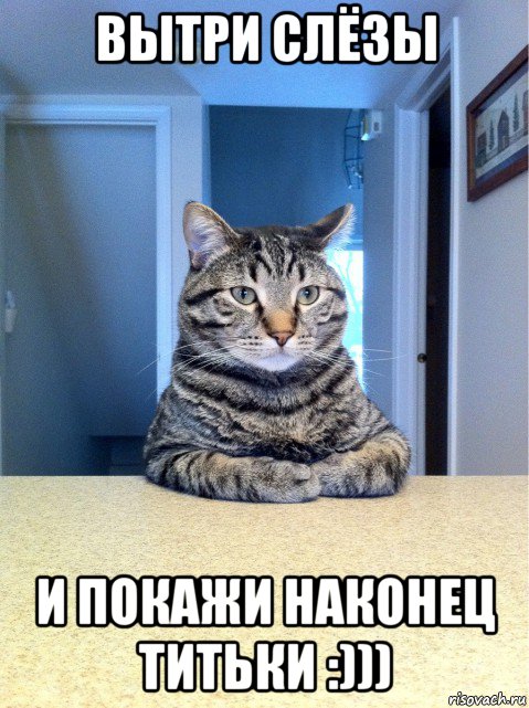 вытри слёзы и покажи наконец титьки :))), Мем кот