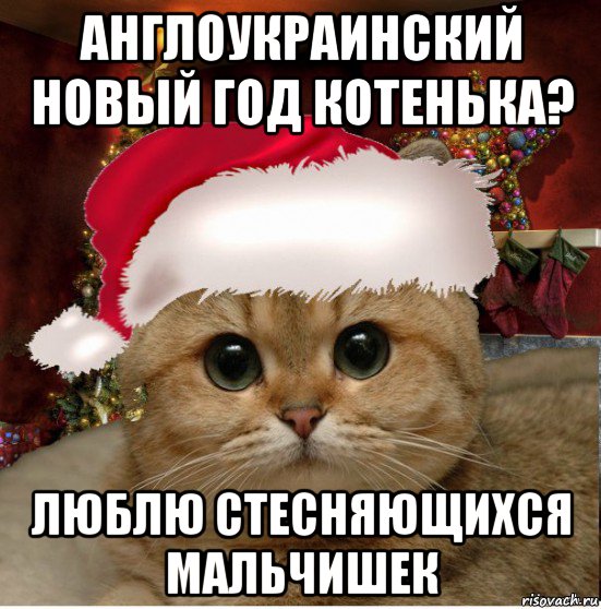 англоукраинский новый год котенька? люблю стесняющихся мальчишек, Мем Котенька