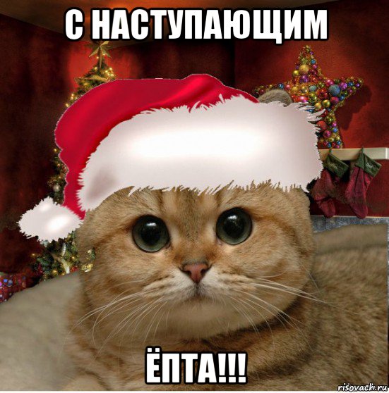 с наступающим ёпта!!!, Мем Котенька