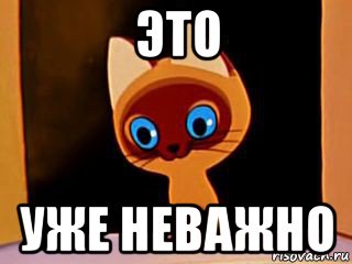 это уже неважно, Мем котенок гав