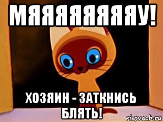 мяяяяяяяяу! хозяин - заткнись блять!, Мем котенок гав