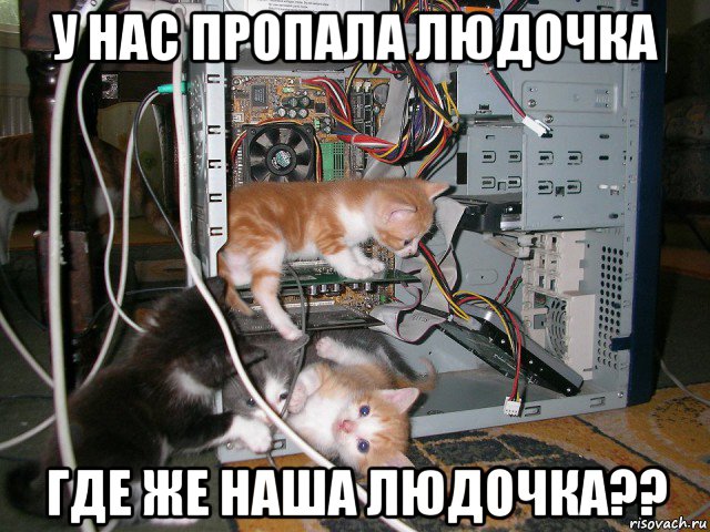 у нас пропала людочка где же наша людочка??