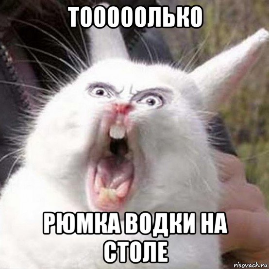тооооолько рюмка водки на столе
