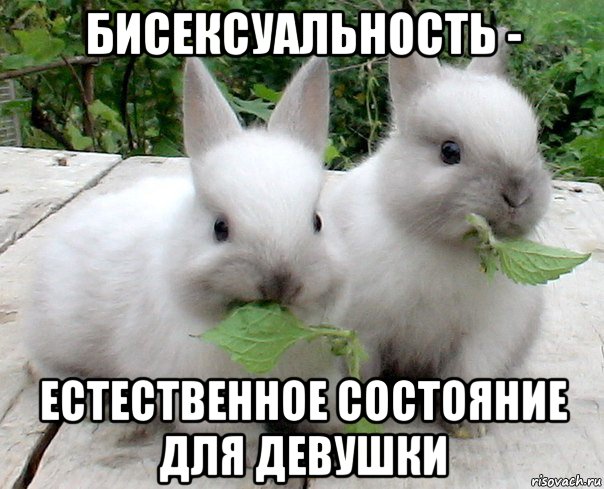 бисексуальность - естественное состояние для девушки, Мем кролики-бифобики