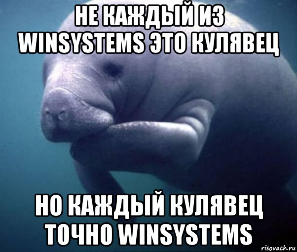 не каждый из winsystems это кулявец но каждый кулявец точно winsystems