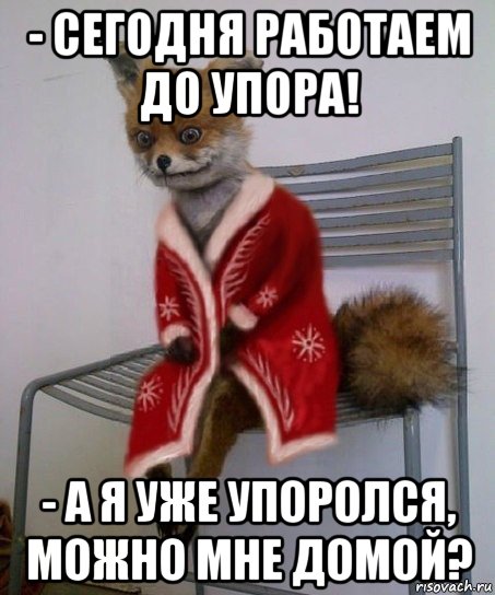 - сегодня работаем до упора! - а я уже упоролся, можно мне домой?, Мем    лис НГ