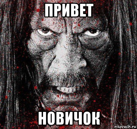 привет новичок