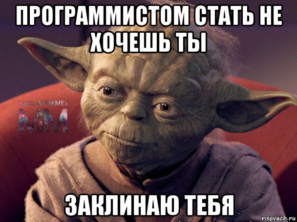 программистом стать не хочешь ты заклинаю тебя