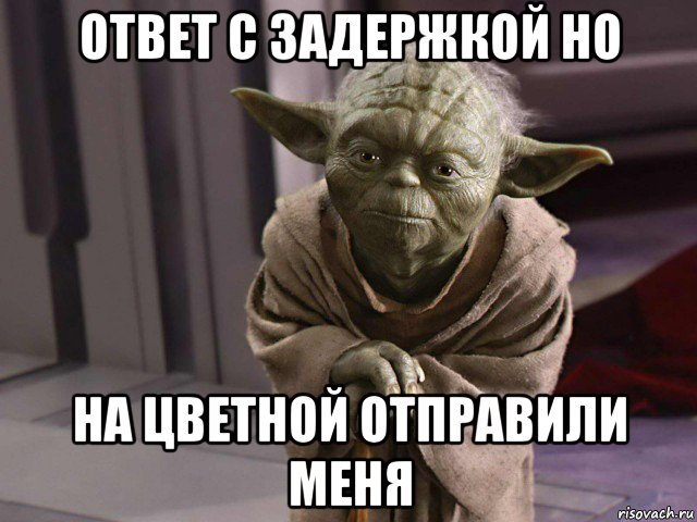 ответ с задержкой но на цветной отправили меня