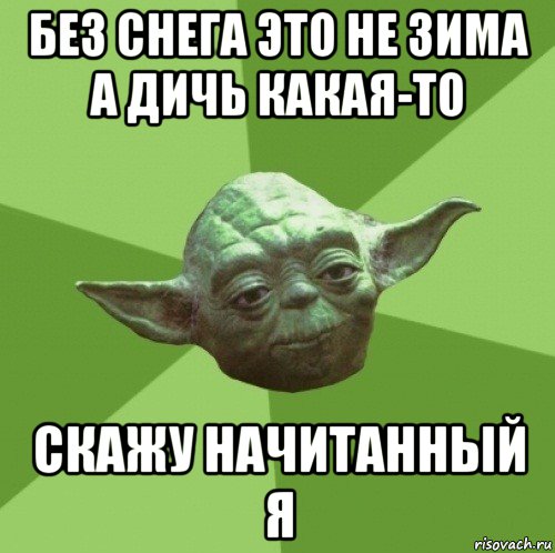 без снега это не зима а дичь какая-то скажу начитанный я, Мем Мастер Йода