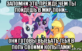 запомни это, прежде чем ты пойдёшь в мир пони... они готовы выебать тебя в попу своими копытами!