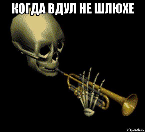 когда вдул не шлюхе 