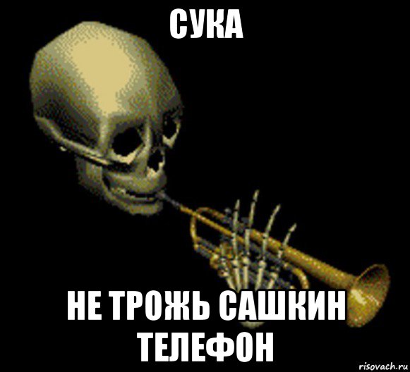 сука не трожь сашкин телефон