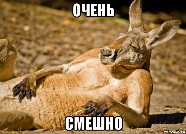 очень смешно, Мем МНЕ ПОХУЙ