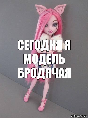 сегодня я модель бродячая