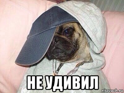  не удивил