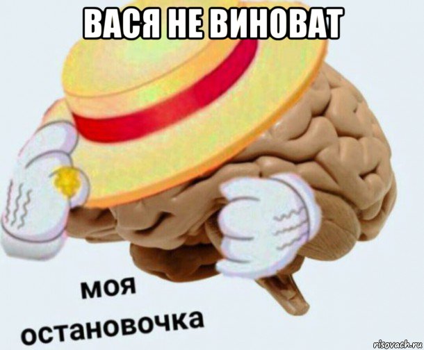 вася не виноват 