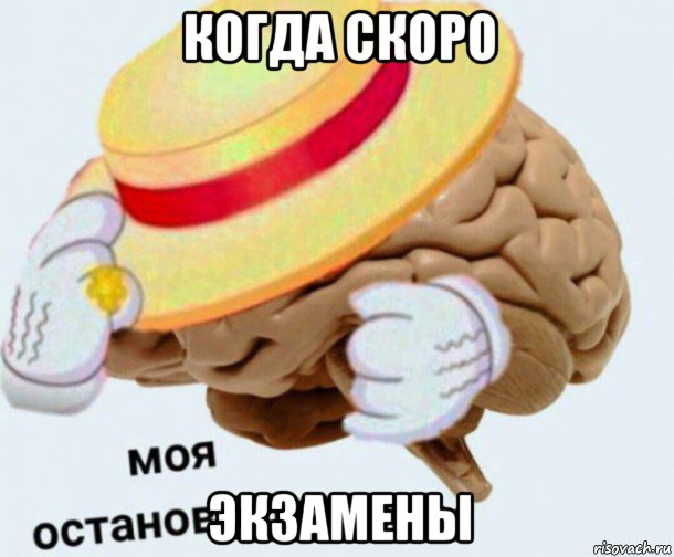 когда скоро экзамены