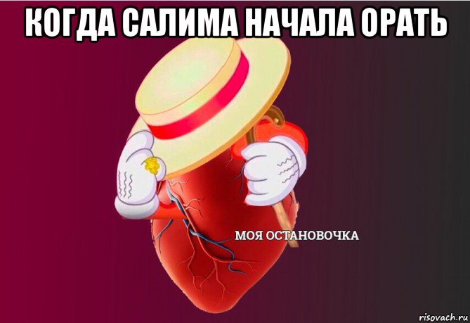 когда салима начала орать , Мем   Моя остановочка