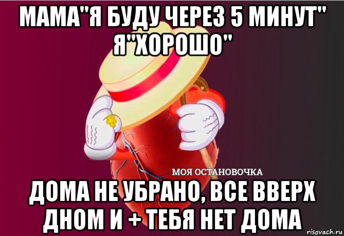 мама"я буду через 5 минут" я"хорошо" дома не убрано, все вверх дном и + тебя нет дома, Мем   Моя остановочка