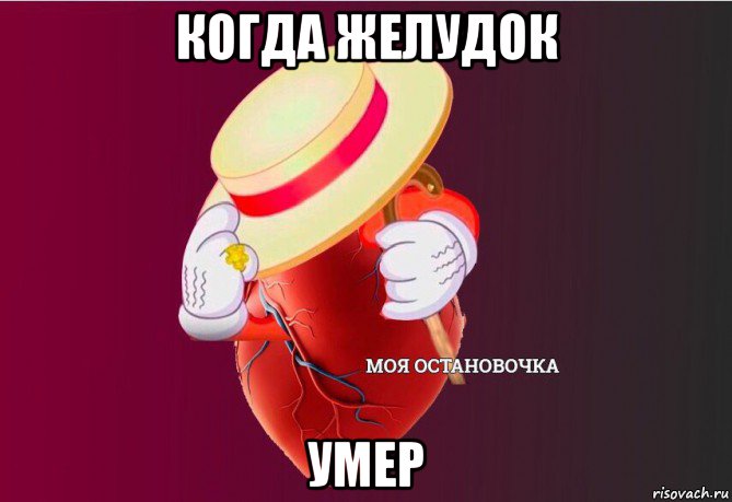 когда желудок умер, Мем   Моя остановочка