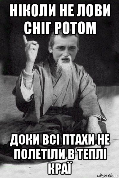 ніколи не лови сніг ротом доки всі птахи не полетіли в теплі краї, Мем Мудрий паца