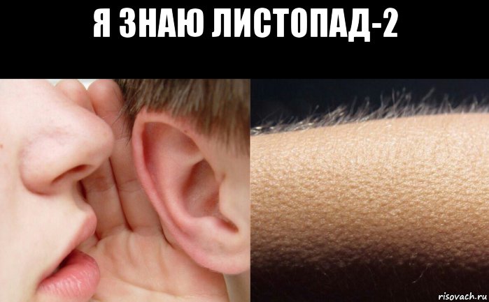 я знаю листопад-2 