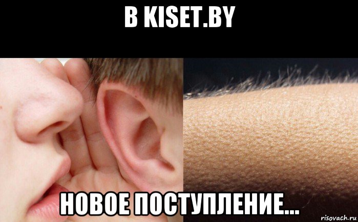 в kiset.by новое поступление...