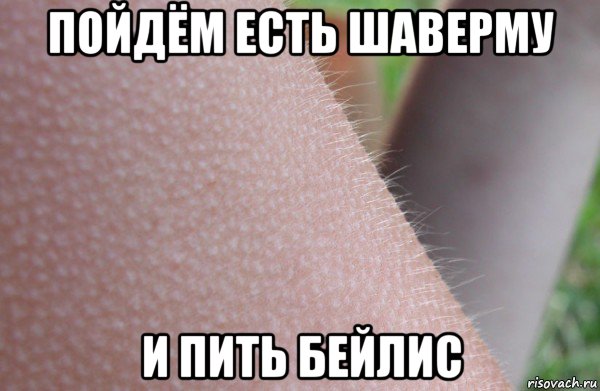 пойдём есть шаверму и пить бейлис