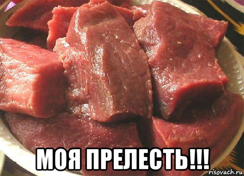  моя прелесть!!!, Мем мясо