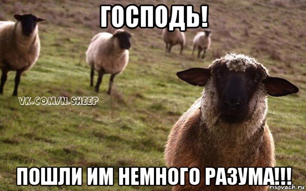 господь! пошли им немного разума!!!