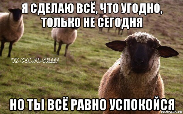 я сделаю всё, что угодно, только не сегодня но ты всё равно успокойся, Мем  Наивная Овца