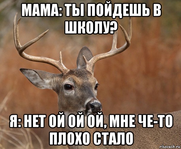 мама: ты пойдешь в школу? я: нет ой ой ой, мне че-то плохо стало, Мем  Наивный Олень v2