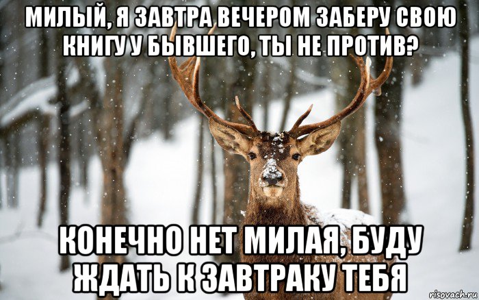 милый, я завтра вечером заберу свою книгу у бывшего, ты не против? конечно нет милая, буду ждать к завтраку тебя