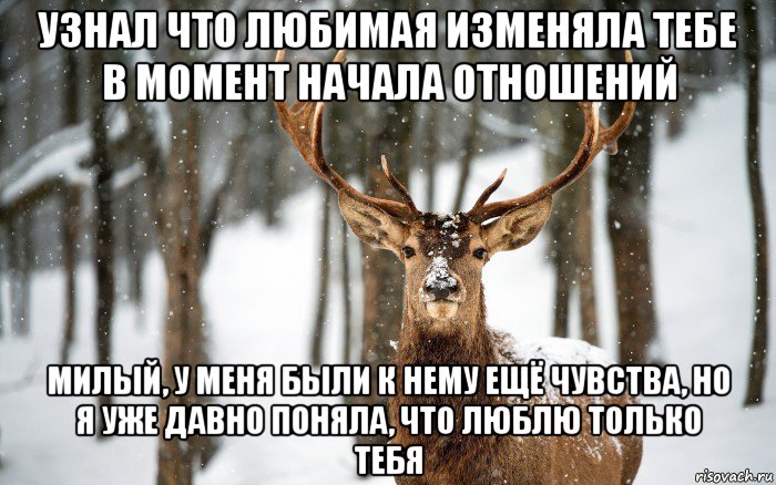 узнал что любимая изменяла тебе в момент начала отношений милый, у меня были к нему ещё чувства, но я уже давно поняла, что люблю только тебя