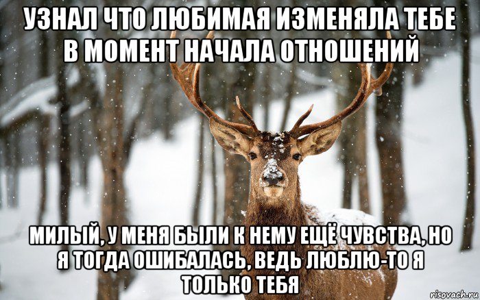 узнал что любимая изменяла тебе в момент начала отношений милый, у меня были к нему ещё чувства, но я тогда ошибалась, ведь люблю-то я только тебя