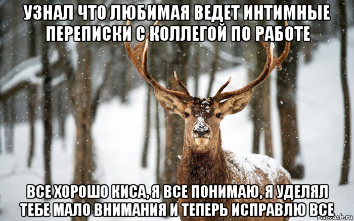 узнал что любимая ведет интимные переписки с коллегой по работе все хорошо киса, я все понимаю, я уделял тебе мало внимания и теперь исправлю все