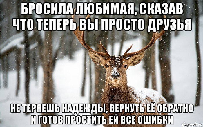 бросила любимая, сказав что теперь вы просто друзья не теряешь надежды, вернуть её обратно и готов простить ей все ошибки