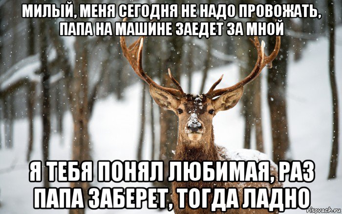 милый, меня сегодня не надо провожать, папа на машине заедет за мной я тебя понял любимая, раз папа заберет, тогда ладно