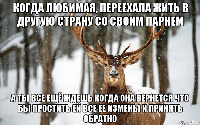 когда любимая, переехала жить в другую страну со своим парнем а ты все ещё ждешь когда она вернется что бы простить ей все ее измены и принять обратно