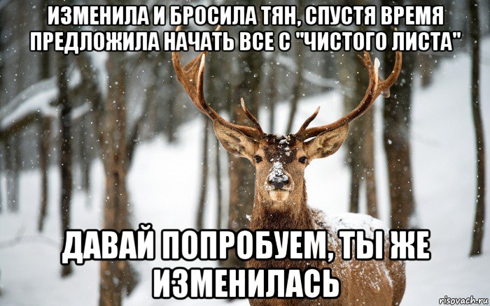 изменила и бросила тян, спустя время предложила начать все с "чистого листа" давай попробуем, ты же изменилась