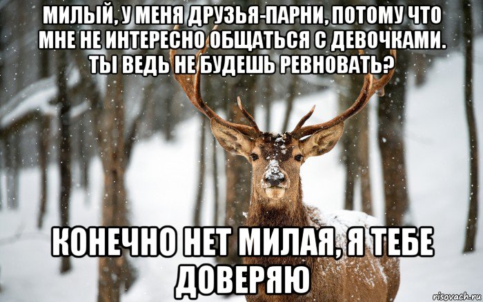 милый, у меня друзья-парни, потому что мне не интересно общаться с девочками. ты ведь не будешь ревновать? конечно нет милая, я тебе доверяю