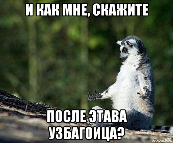 и как мне, скажите после этава узбагоица?