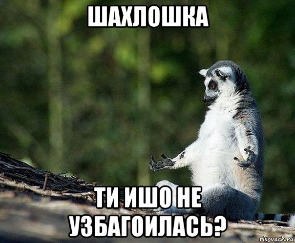 шахлошка ти ишо не узбагоилась?