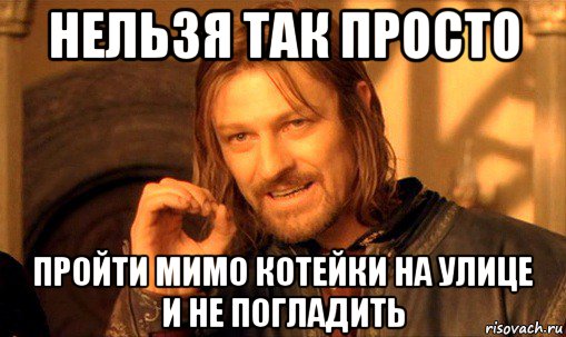 нельзя так просто пройти мимо котейки на улице и не погладить, Мем Нельзя просто так взять и (Боромир мем)