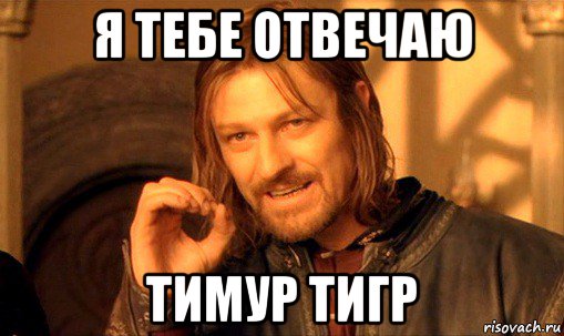 я тебе отвечаю тимур тигр, Мем Нельзя просто так взять и (Боромир мем)